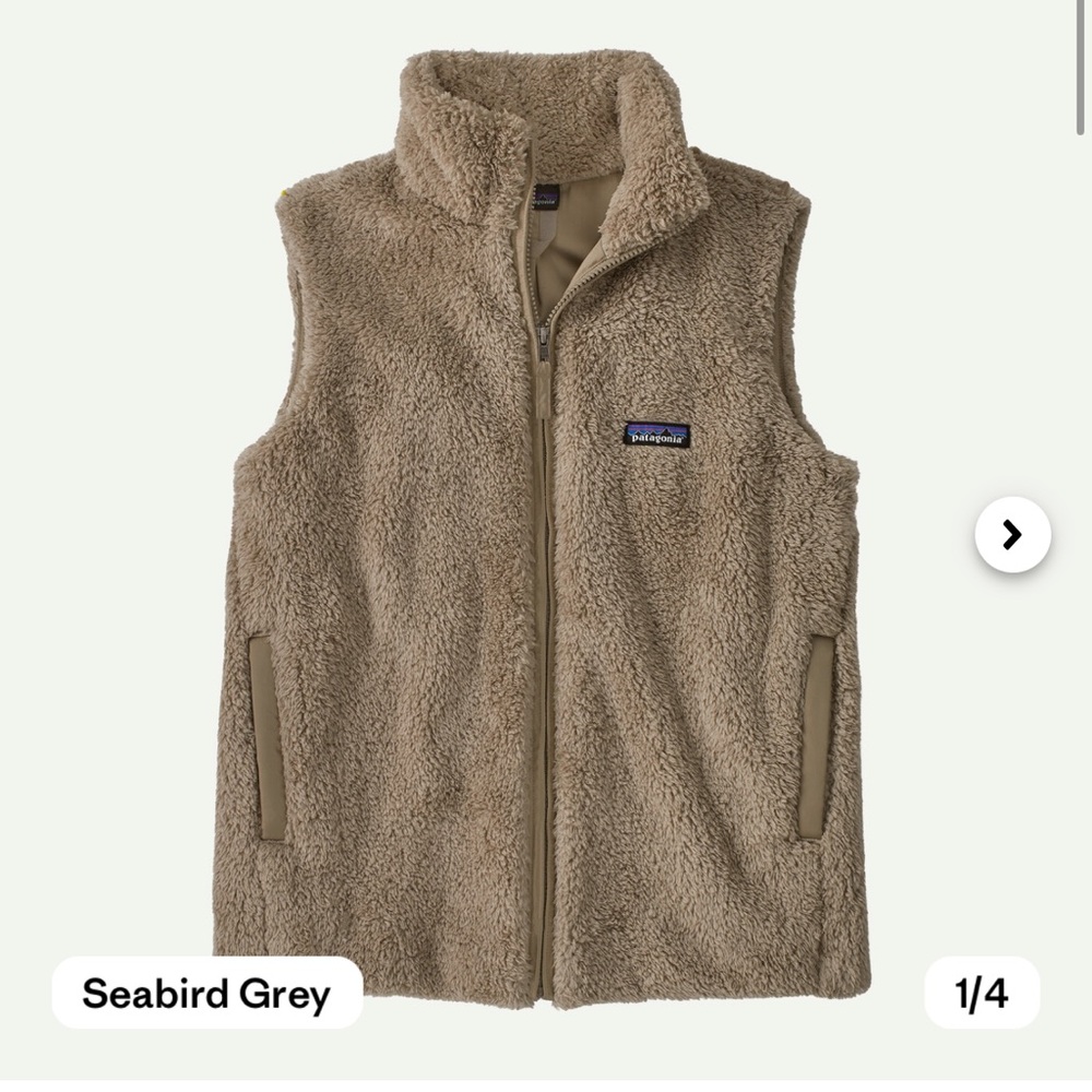 Patagonia Los Gatos vest